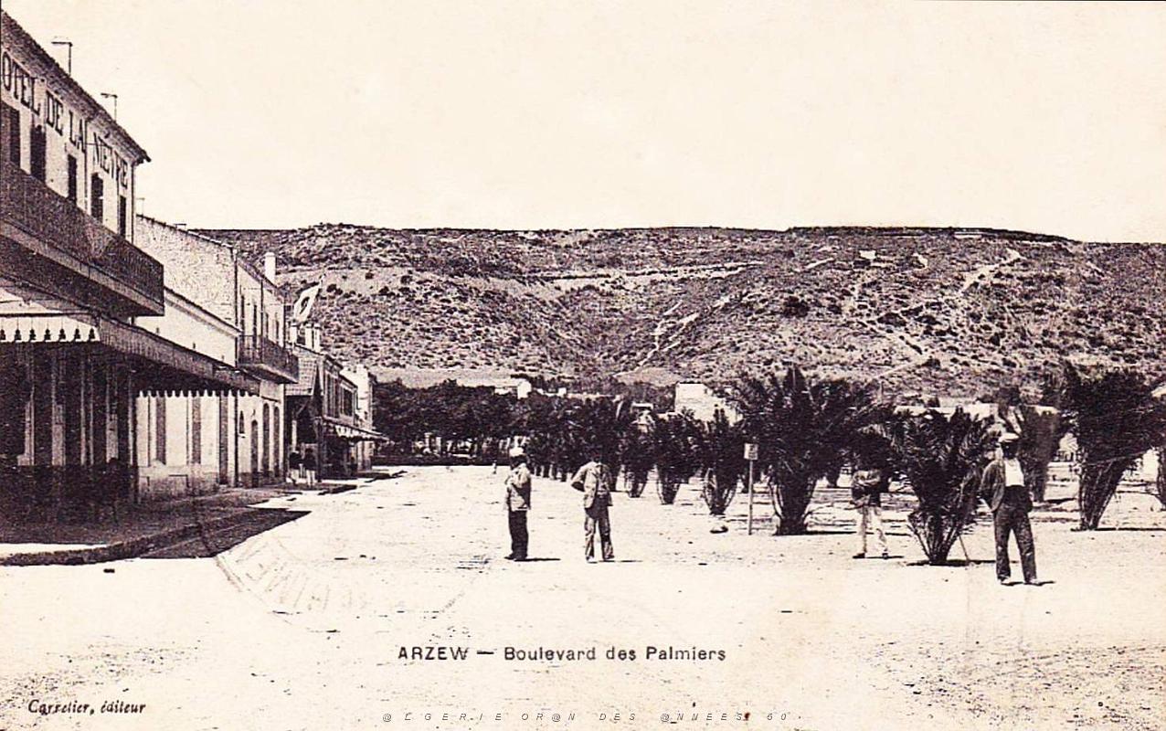 918- Arzew - Bd des Palmiers.jpg